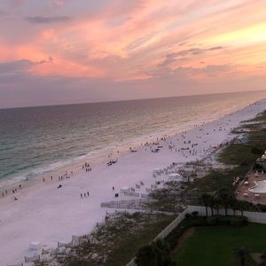 Meet your Posher, Tyler